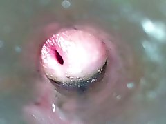 fleshlight internal cumshot hd