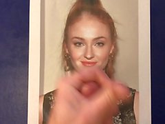 Tribute To Sophie Turner