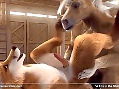 3D gay anthro horse and fox fuck