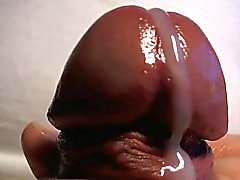 Big Headed Cock Extreme Close Up Cum Shot