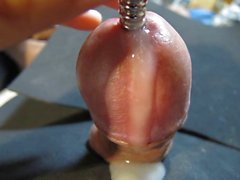 Urethal Sounding masturbation Cumshot 2