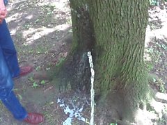 Two friends pissing together on a tree