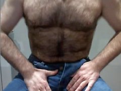 hairy cub teasing his cock in blue jeans