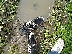 Adidas superstar in piss and dirt